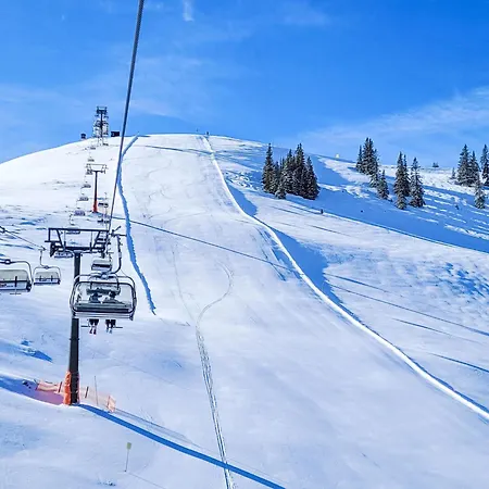 Апартаменты Ulli By Interhome Grunholzer